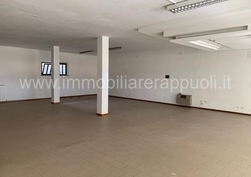 001__whatsapp_image_2024-01-25_at_12_18_08__2_wmk_0