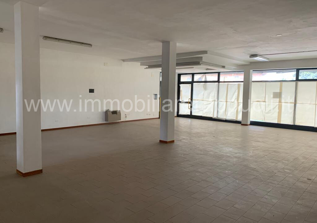 005__whatsapp_image_2024-01-25_at_12_18_08_wmk_0