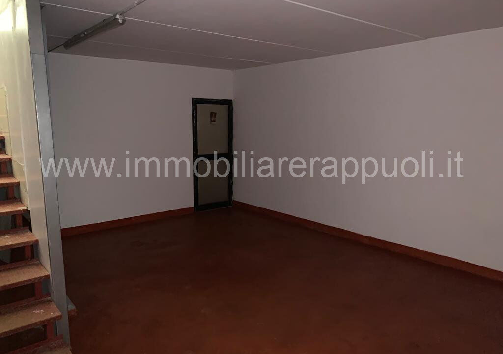 006__whatsapp_image_2024-01-25_at_12_18_09__1_wmk_0