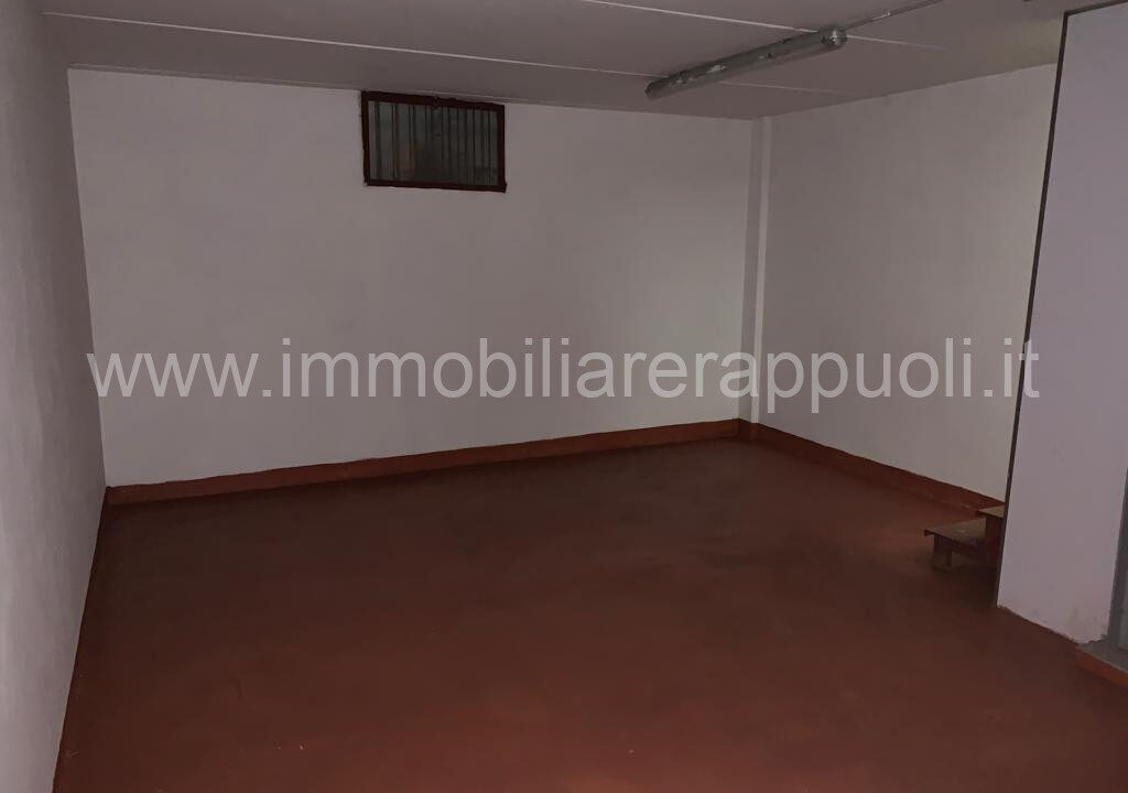 007__whatsapp_image_2024-01-25_at_12_18_09_wmk_0