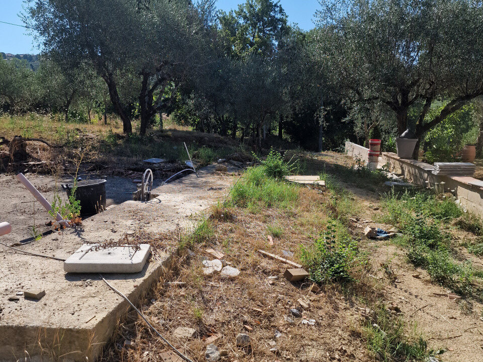 035__20240729_094649