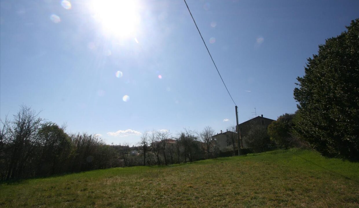 005__18l4204img4