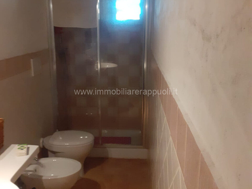 006__whatsapp_image_2025-03-20_at_12_04_16_wmk_0