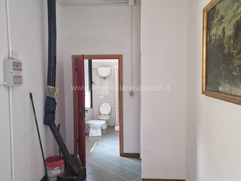 006__whatsapp_image_2025-06-23_at_11_17_22_wmk_0