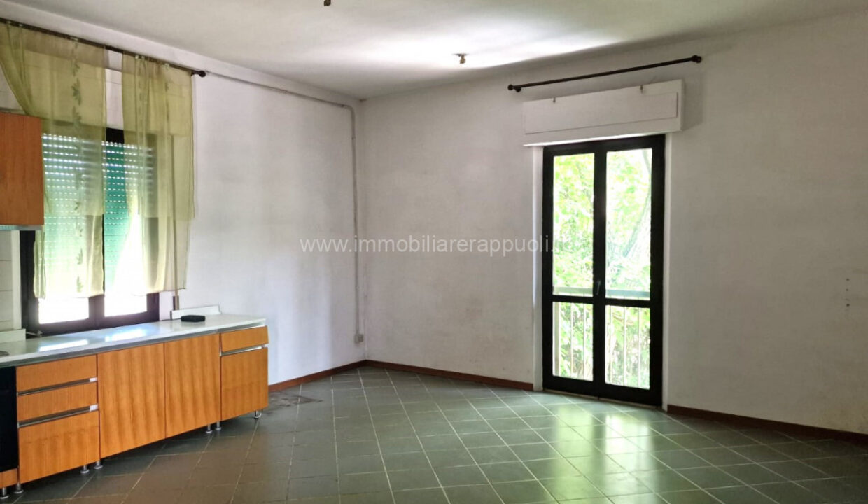 009__whatsapp_image_2025-06-23_at_11_17_22__3_wmk_0