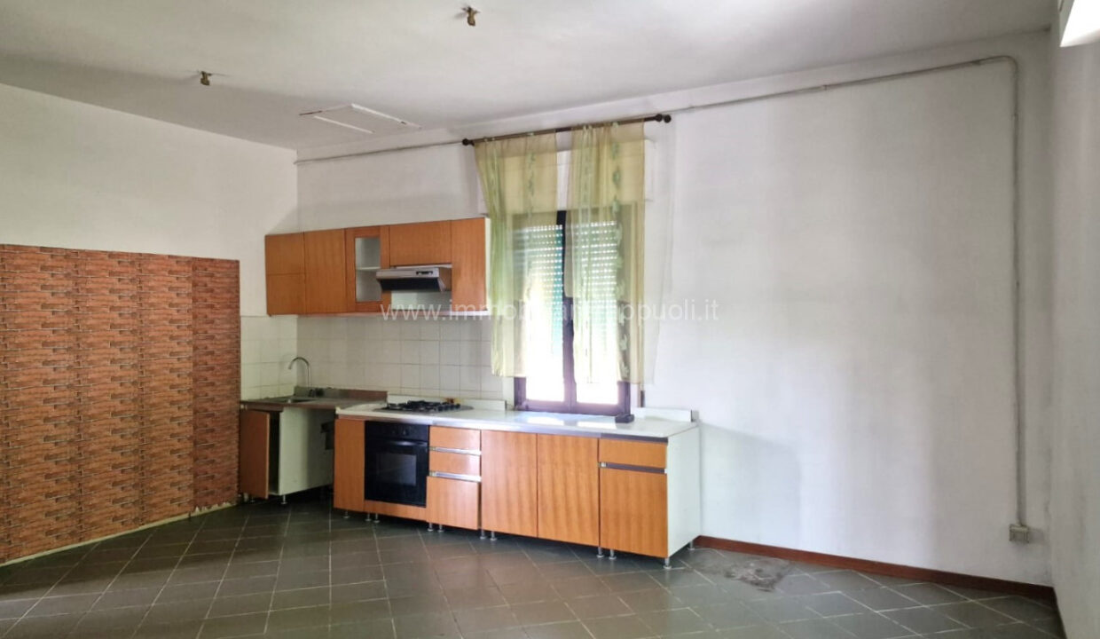 010__whatsapp_image_2025-06-23_at_11_17_22__4_wmk_0