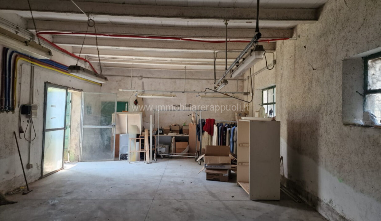 011__whatsapp_image_2025-06-23_at_11_17_23__1_wmk_0