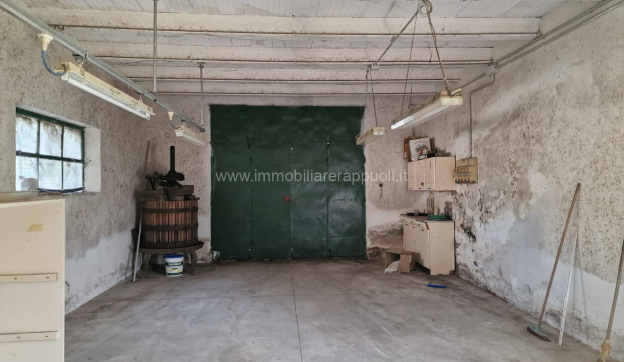 012__whatsapp_image_2025-06-23_at_11_17_23__2_wmk_0