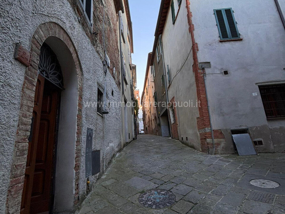 005__whatsapp_image_2024-11-29_at_17_51_42__2_wmk_0