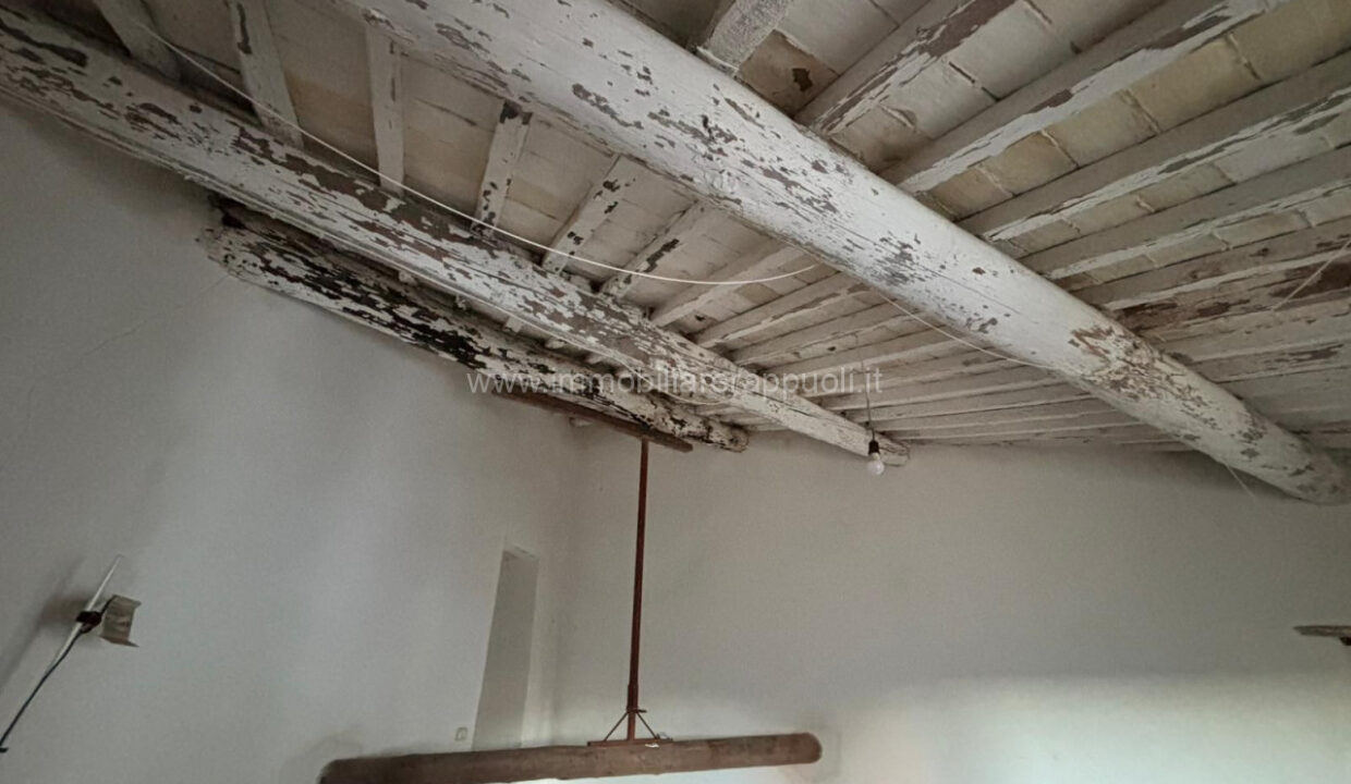 006__whatsapp_image_2024-11-29_at_17_51_42__3_wmk_0