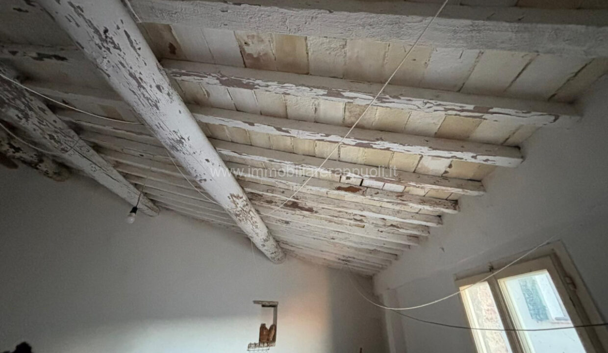 008__whatsapp_image_2024-11-29_at_17_51_43__1_wmk_0