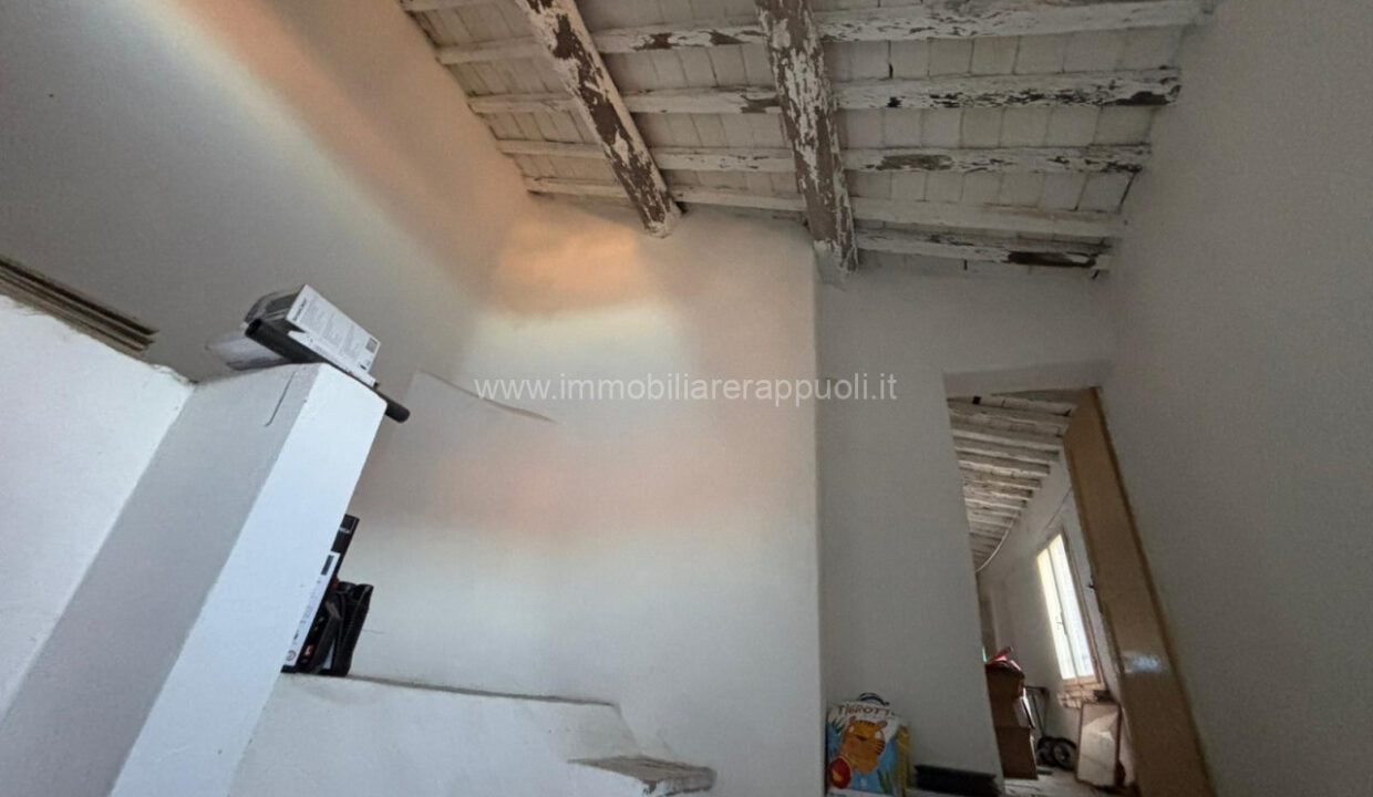 009__whatsapp_image_2024-11-29_at_17_51_43__2_wmk_0