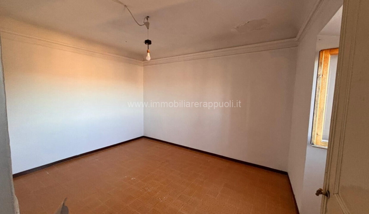 013__whatsapp_image_2024-11-29_at_17_51_44__1_wmk_0