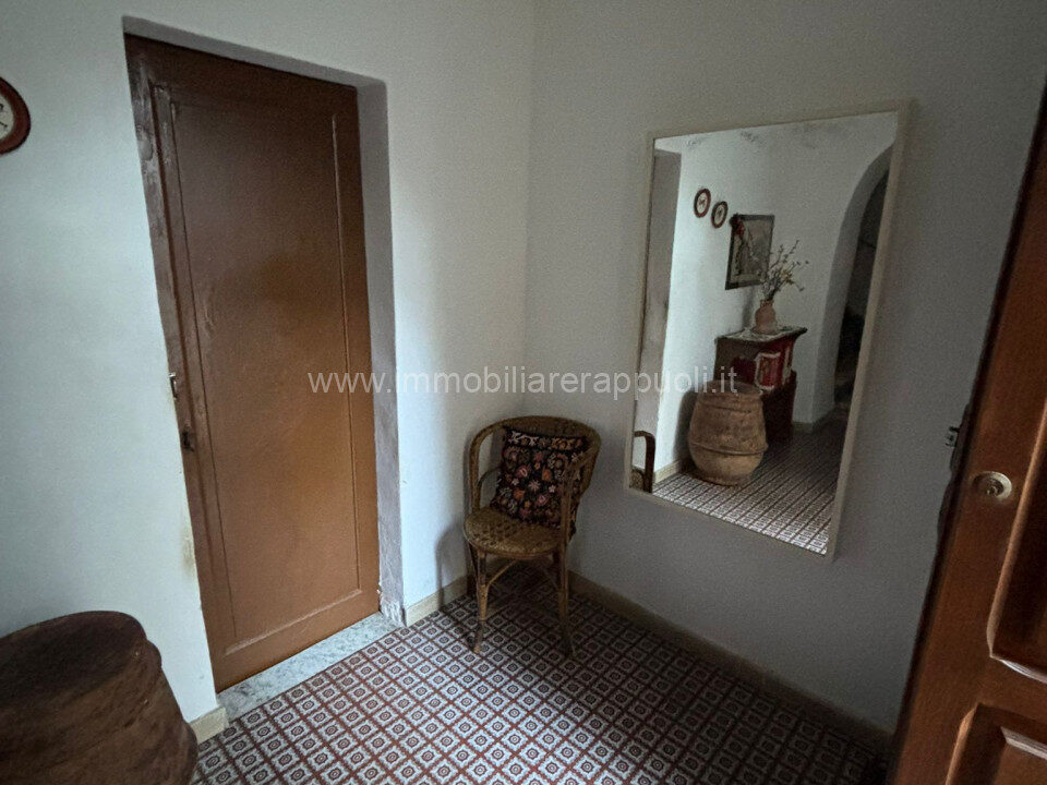 015__whatsapp_image_2024-11-29_at_17_51_44__3_wmk_0