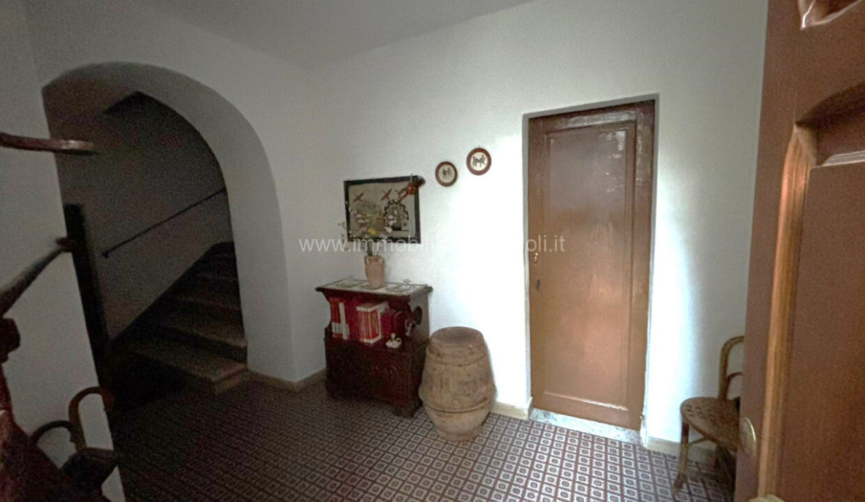 016__whatsapp_image_2024-11-29_at_17_51_44__4_wmk_0