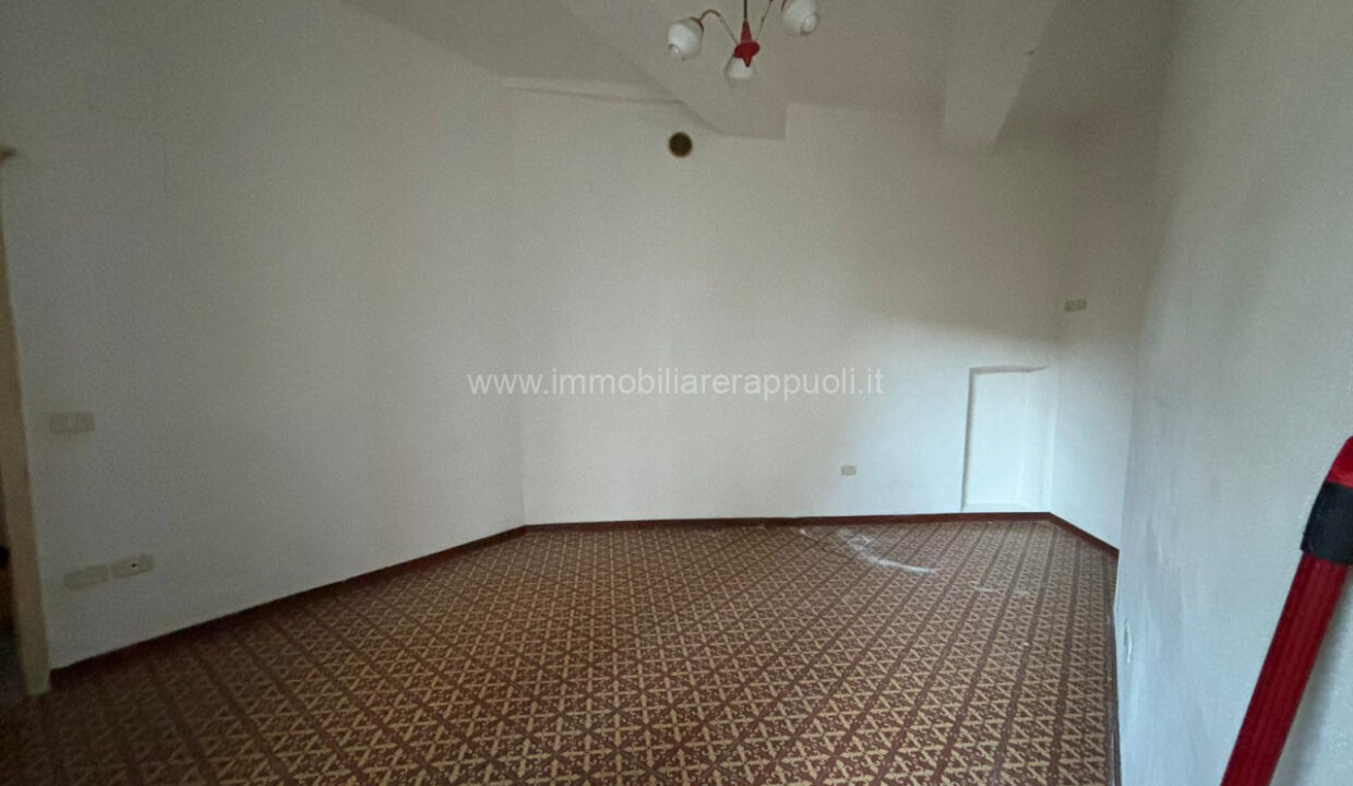 020__whatsapp_image_2024-11-29_at_17_51_45__3_wmk_0