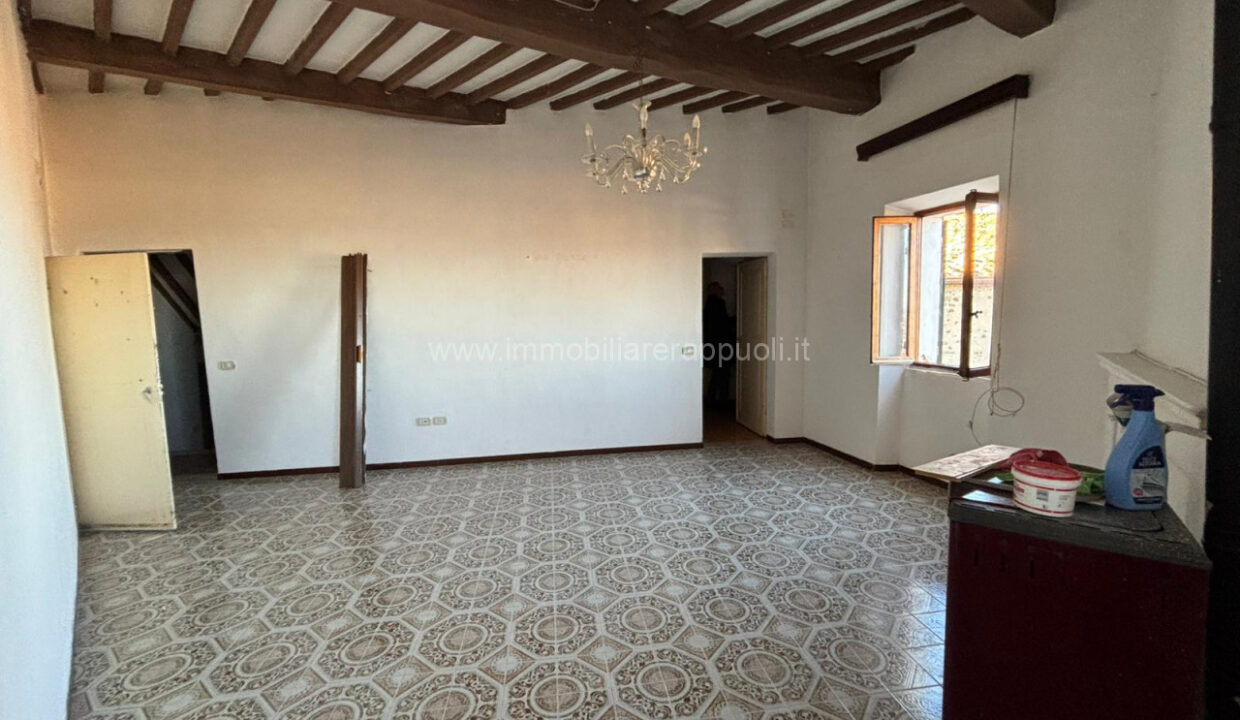 022__whatsapp_image_2024-11-29_at_17_51_46_wmk_0