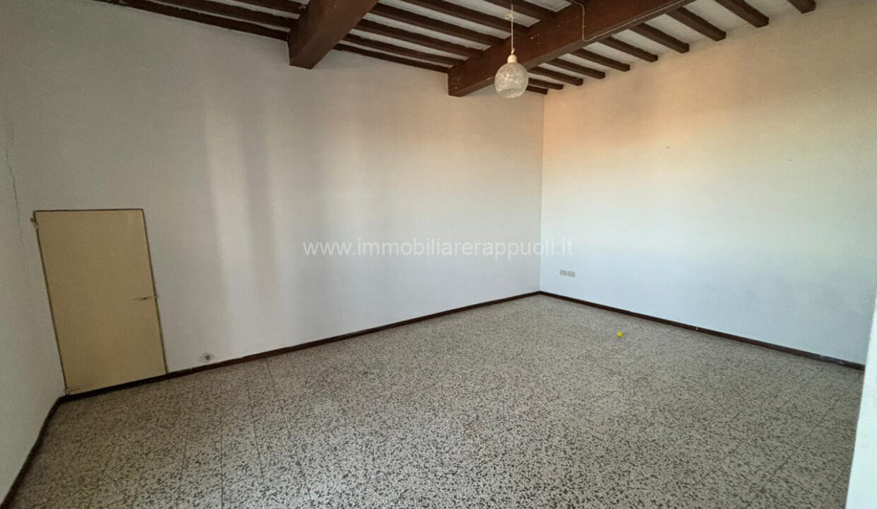 023__whatsapp_image_2024-11-29_at_17_51_46__1_wmk_0