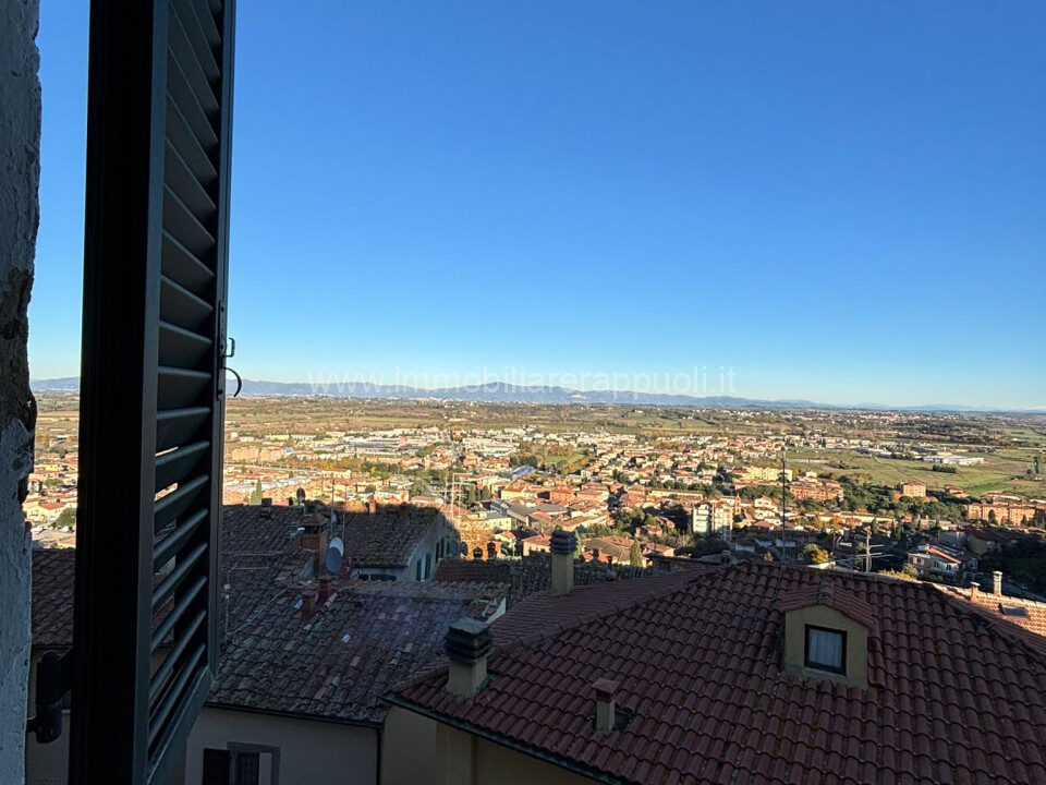 024__whatsapp_image_2024-11-29_at_17_51_46__2_wmk_0