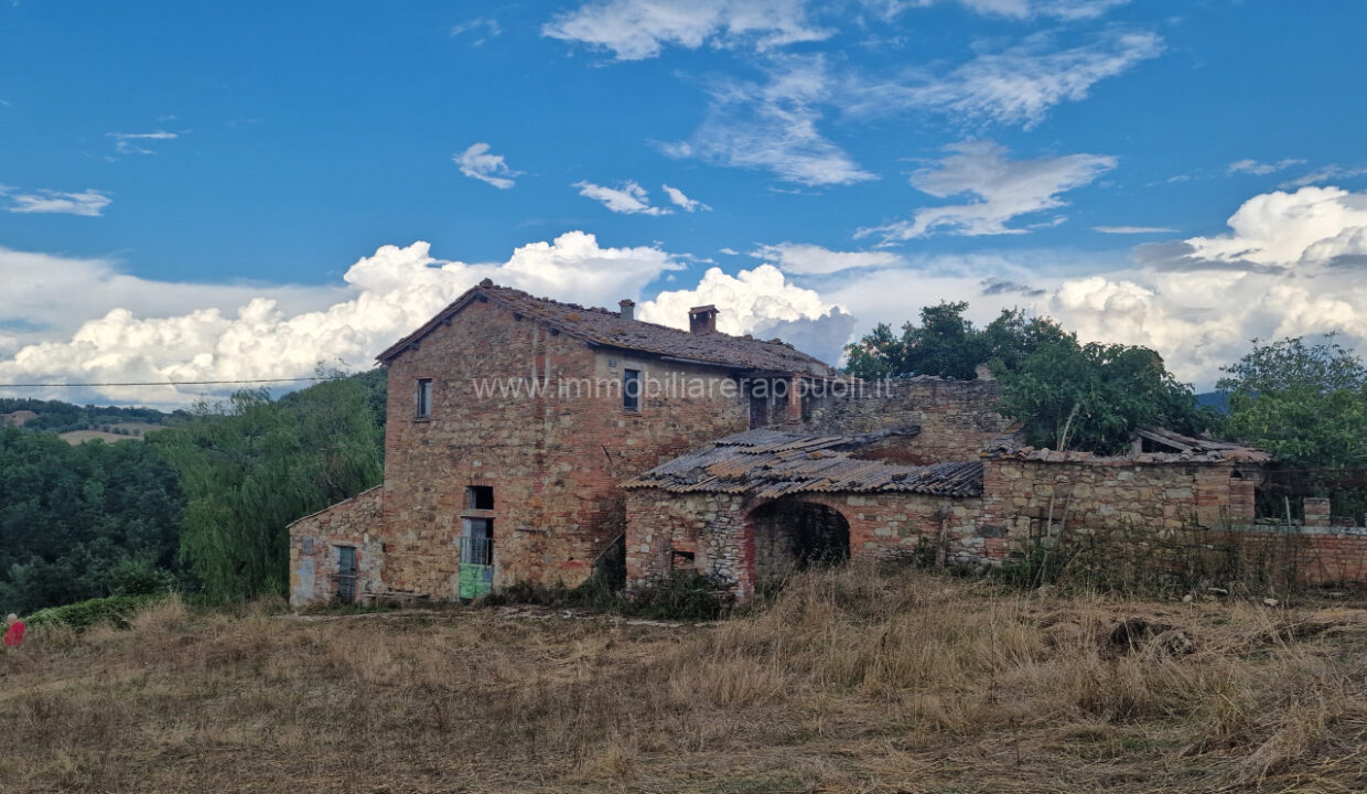 001__20250823_165210_wmk_0