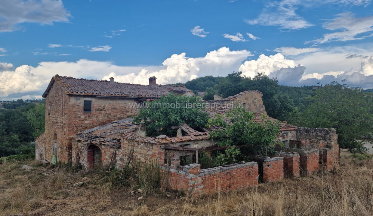 002__20250823_165233_wmk_0