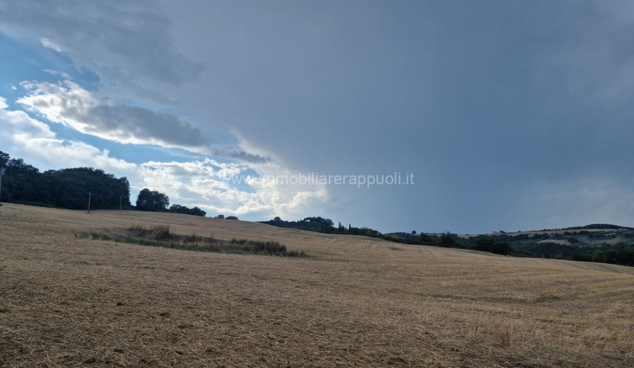 007__20250823_165119_wmk_0