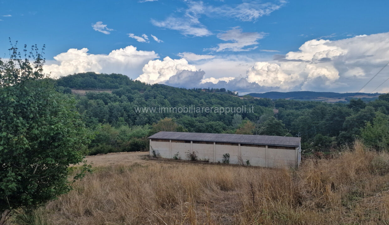 009__20250823_165308_wmk_0