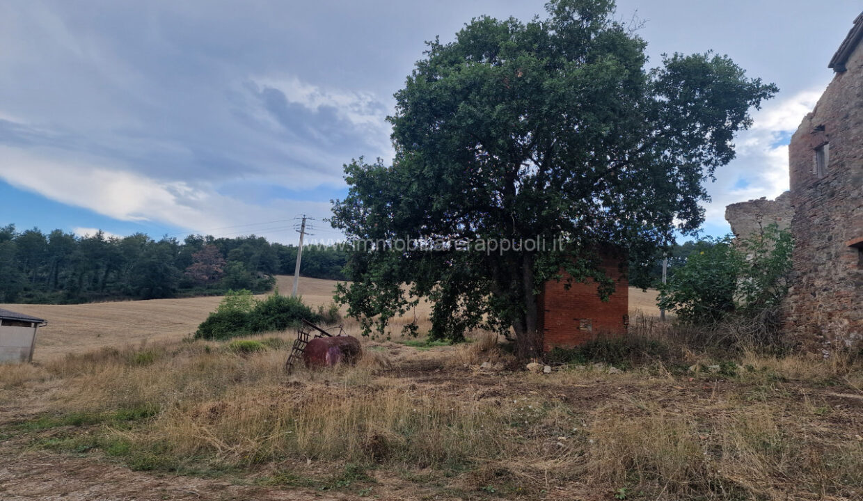 010__20250823_165430_wmk_0