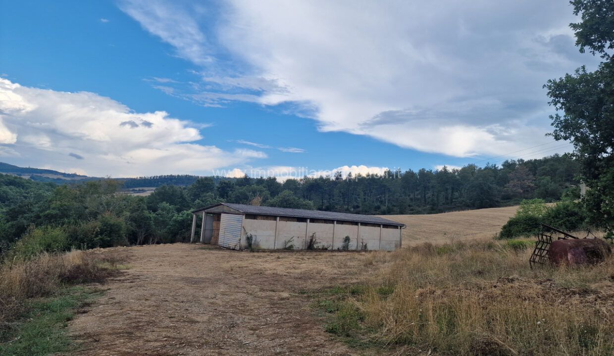 011__20250823_165437_wmk_0