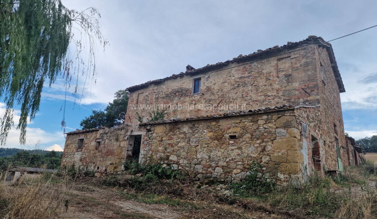 012__20250823_165518_wmk_0