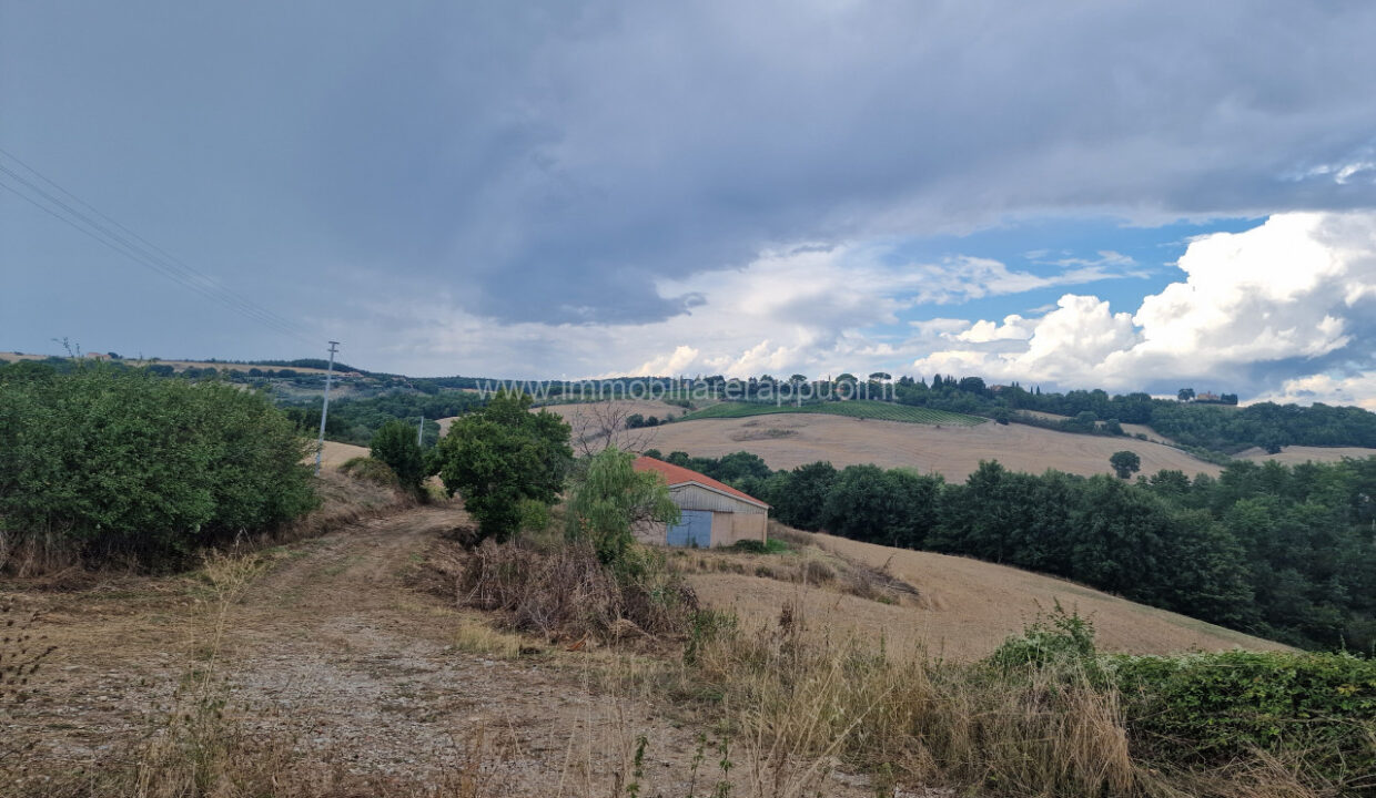 015__20250823_165653_wmk_0