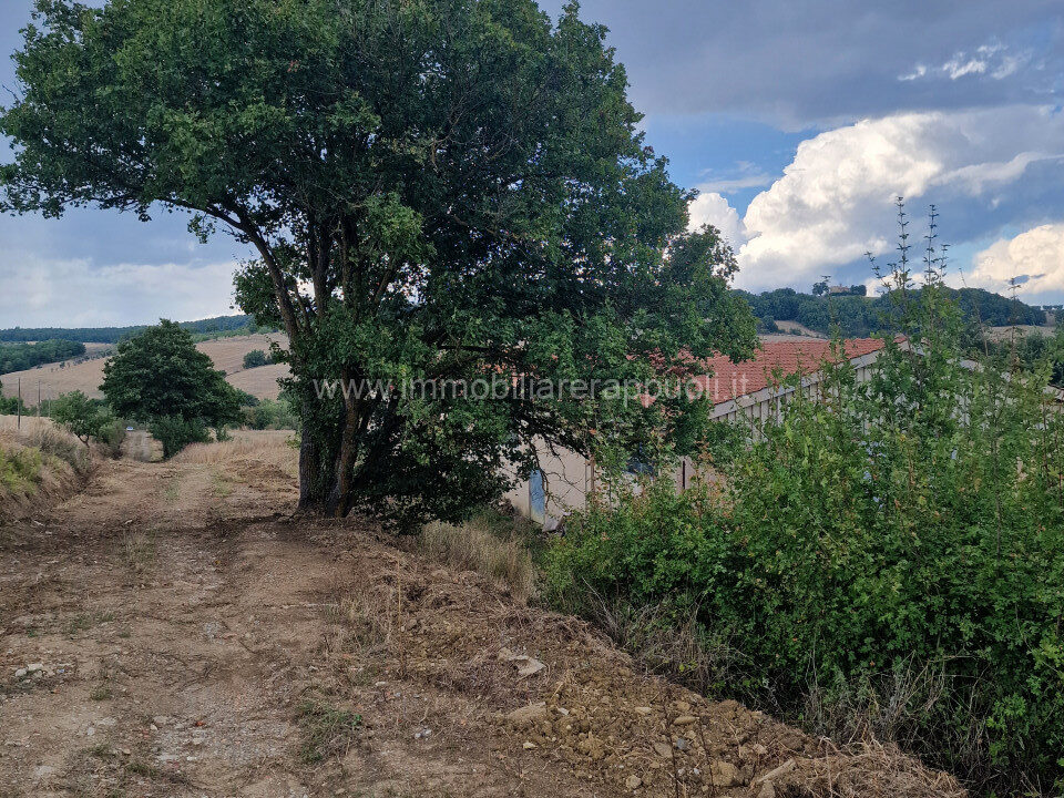 016__20250823_165809_wmk_0