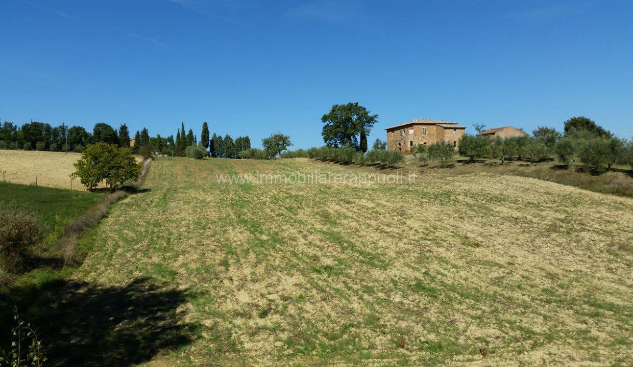 041__whatsapp_image_2024-09-12_at_11_12_21__2_wmk_0