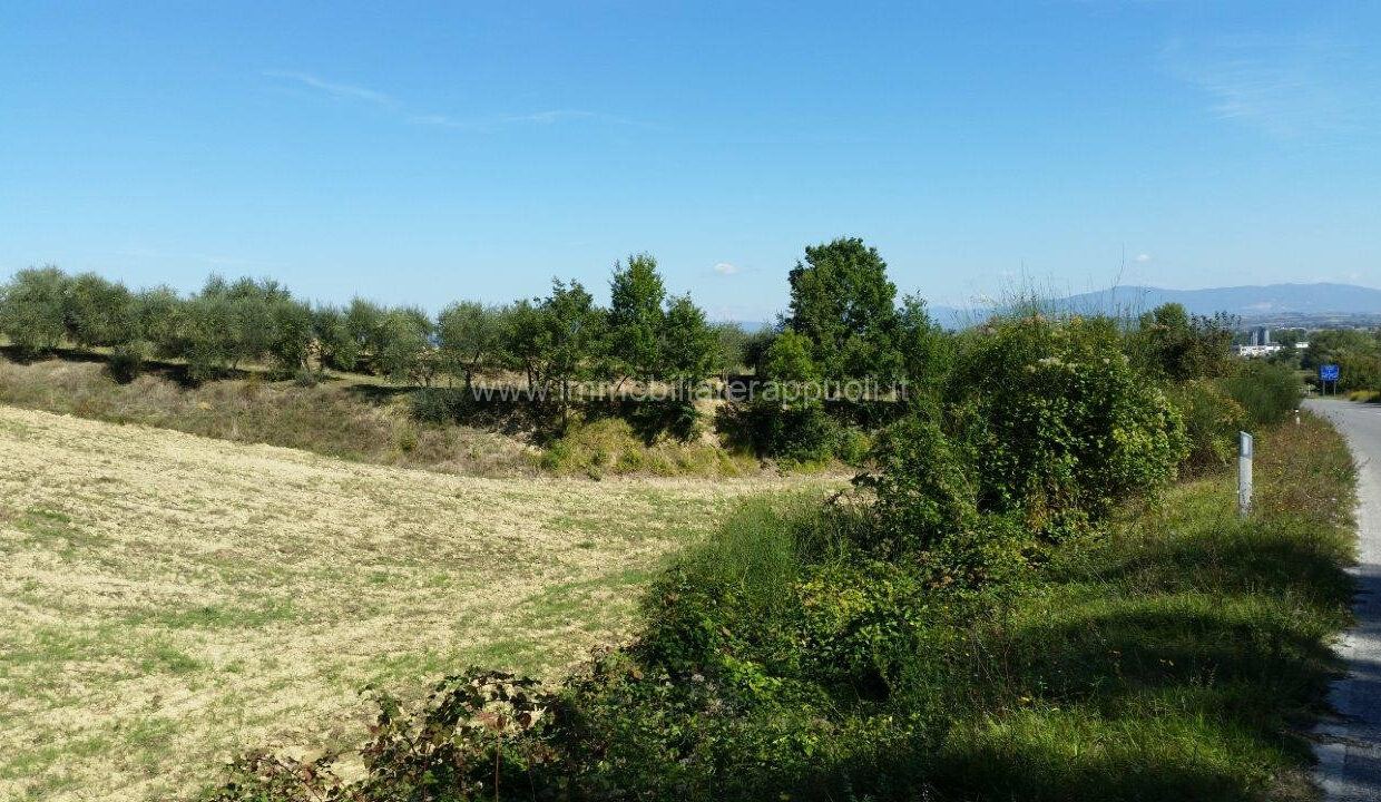 042__whatsapp_image_2024-09-12_at_11_12_21__3_wmk_0