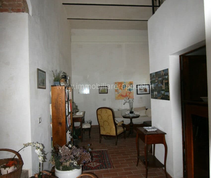 CL234 (36)