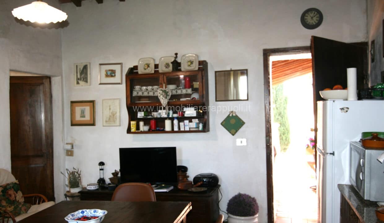 CL234 (62)