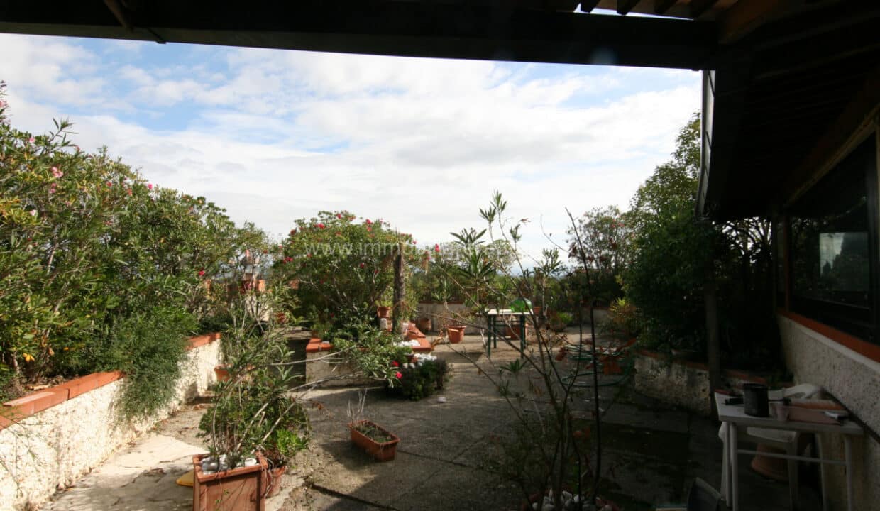 IP4 (11)