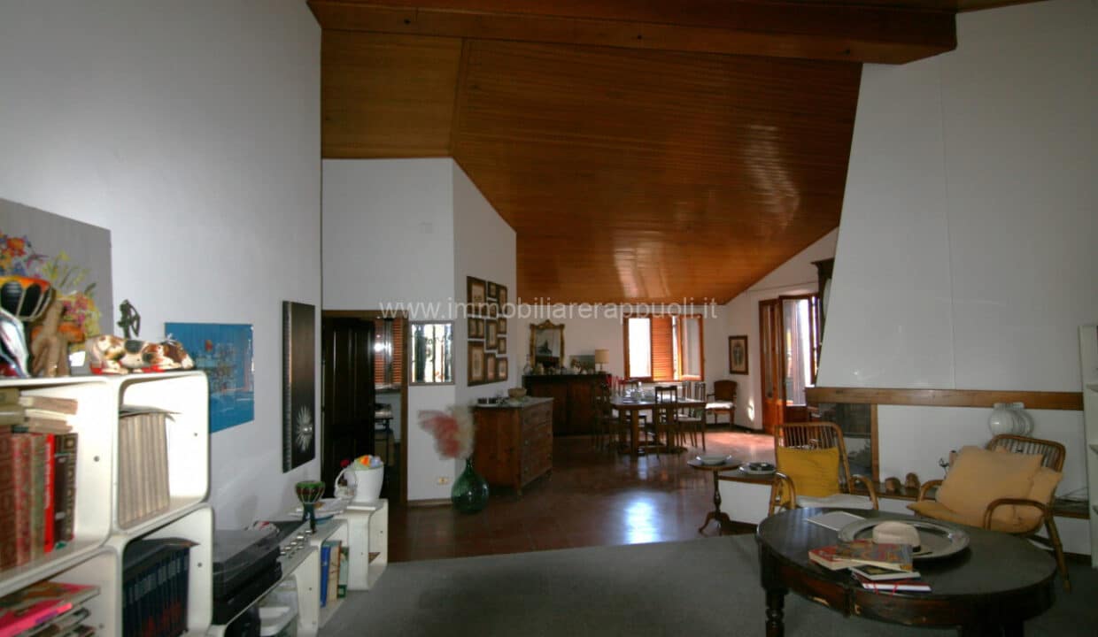IP4 (14)