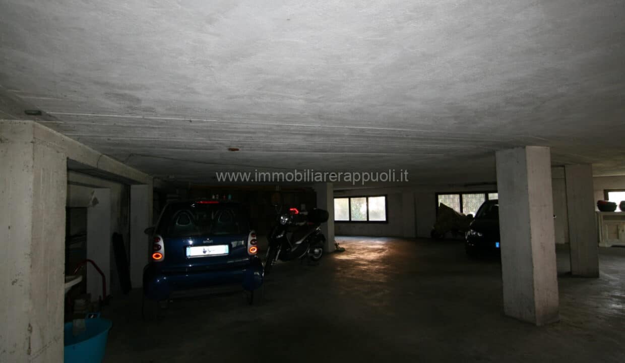 IP4 (25)