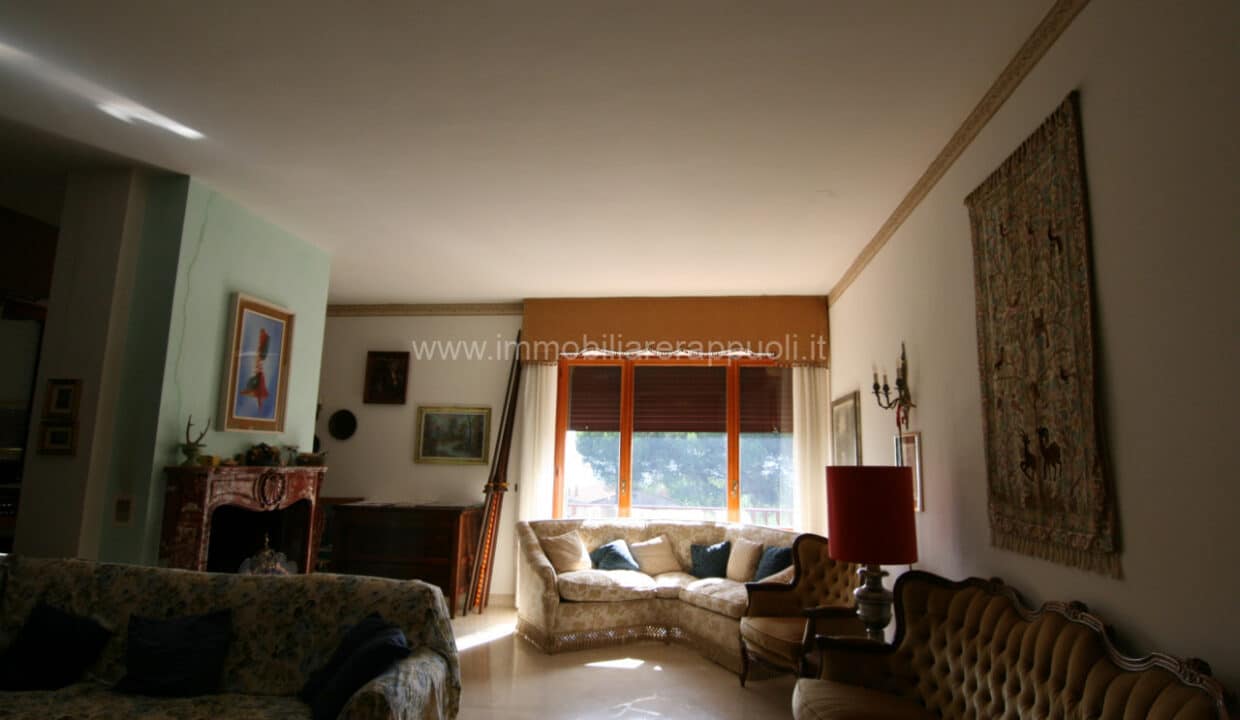 VL62 (8)