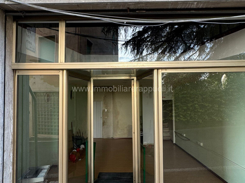 000__whatsapp_image_2025-09-18_at_15_41_06__1_wmk_0