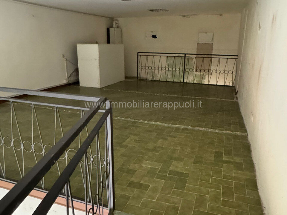 003__whatsapp_image_2025-09-18_at_15_41_05__1_wmk_0