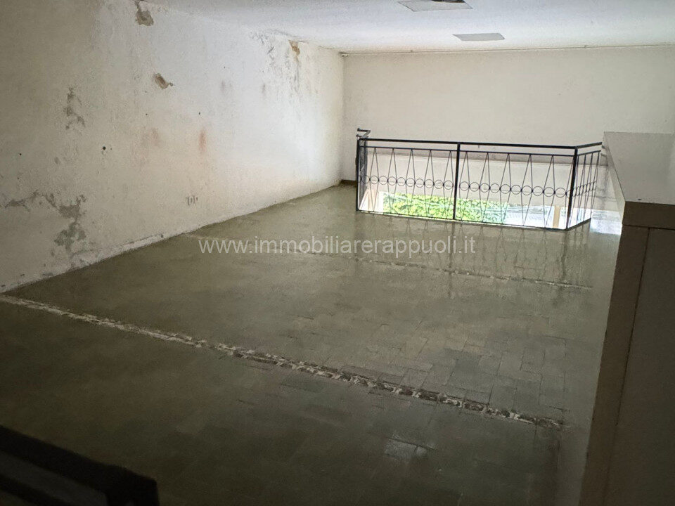 004__whatsapp_image_2025-09-18_at_15_41_06_wmk_0