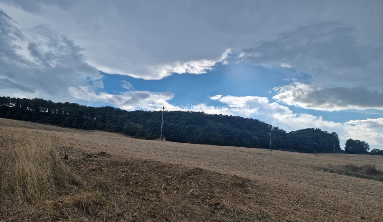 000__20250823_165115_wmk_0