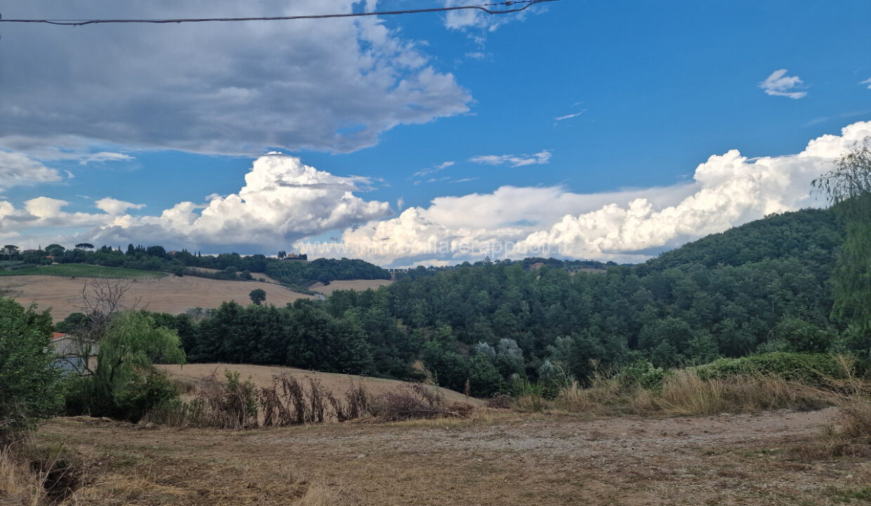 002__20250823_165124_wmk_0