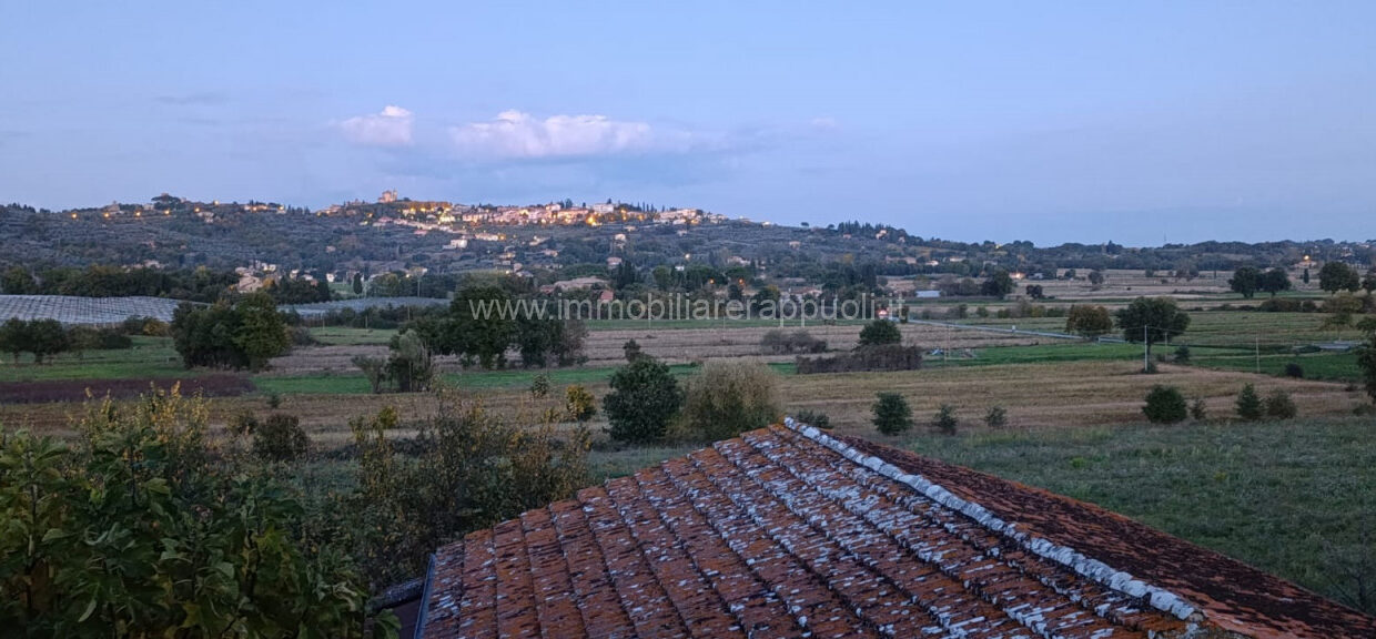 005__1000120574_wmk_0