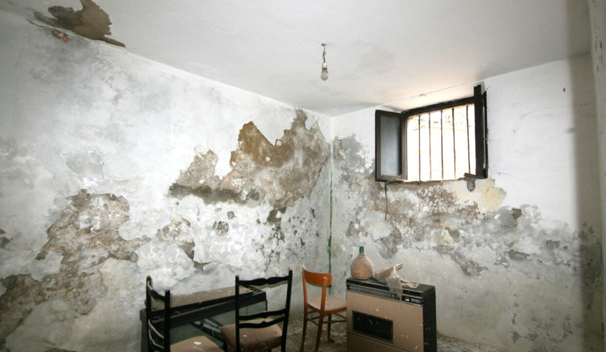 005__img_5479_mod_01