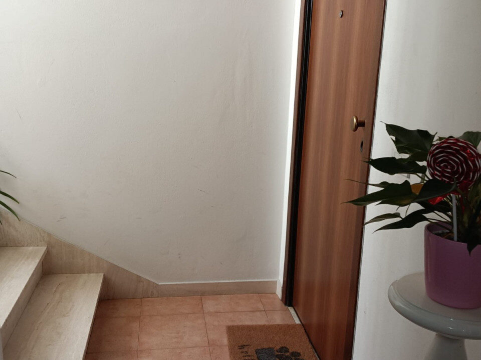 008__whatsapp_image_2026-03-06_at_11_59_05__8