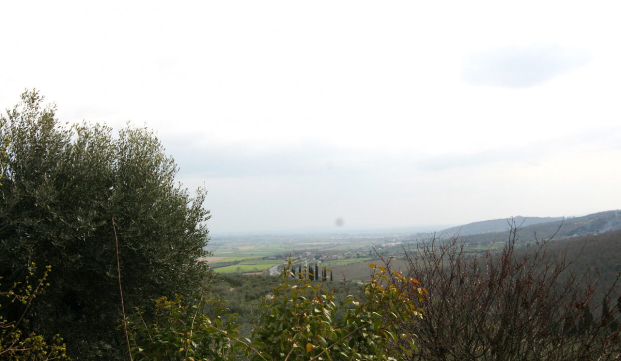 027__img_6035