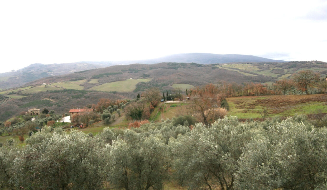 040__img_5440_mod_01